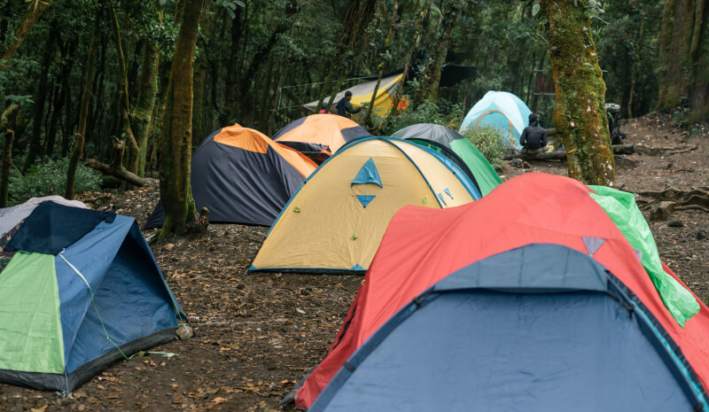 Meet Skeleton Svelte Taile Sindey For Reactive UIs