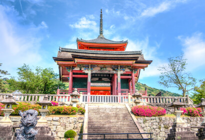 Trees Under White Clouds during Daytime